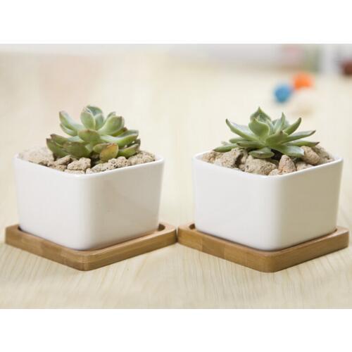 2 Sets Square White Ceramic Succulent Planter Zakka Style Succulents Pots Desktop Flower Pot Home Decoration (2 Pots + 2 Trays)