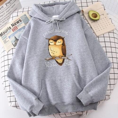 Hot Sale Soft Brand Tops I'M Just Resting My Eyes Owl Printing MenS Sweatshirt Thermal Vintage Mens Hoodie Large Size Hoodies