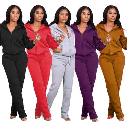 Autumn Winter Two Piece Sets Women 2020 Sporty Tracksuits Long Sleeve Hooded Zipper Jackets and Loose Sweatpants Matching Outfit