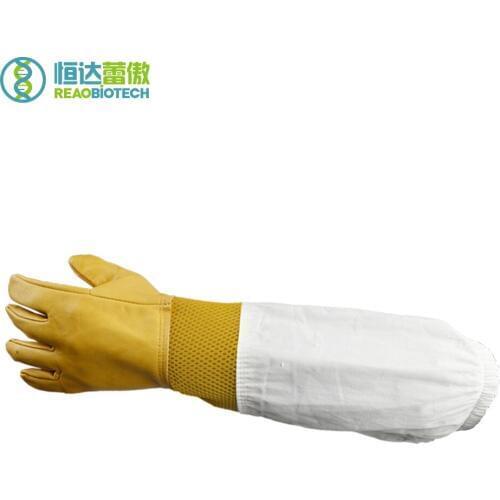 NO.12 Beekeeping Bees Garden Farm Gloves Equipment and Tools for Beekeeper
