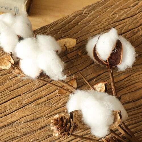 New Naturally Dried Cotton Flower Artificial Plants Floral Branch For Wedding Party Decoration Fake Flowers Home Decor