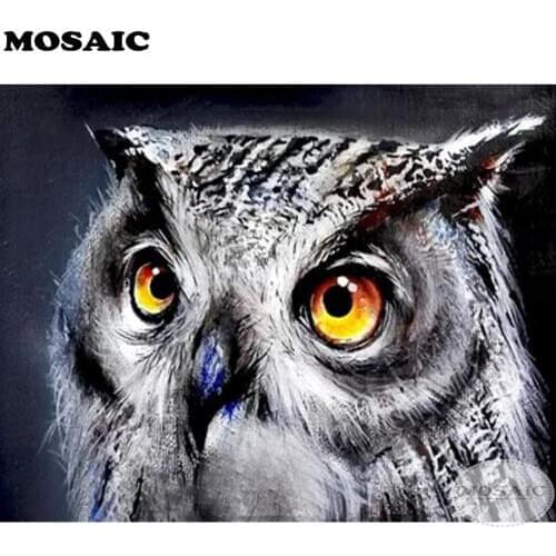 Full 5d DIY Diamond Painting Cross Stitch owl wall art full Square Diamond Embroidery Picture Rhinestone Mosaic decor B175