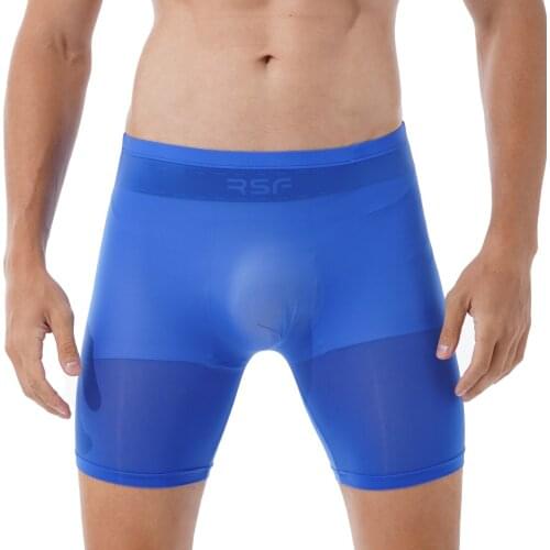 Transparent Panties for Mens Sheer Boxer Briefs Stretchy Shorts Solid Color Elastic Waistband Boyshort Sleepwear Underwear