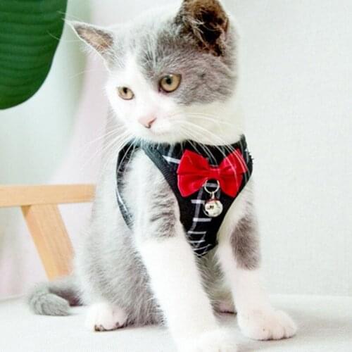 Cat And Puppy Chest Harness Dog Walking And Cat Rope Suit Comfortable And Breathable Pet Supplies Cat Accessories