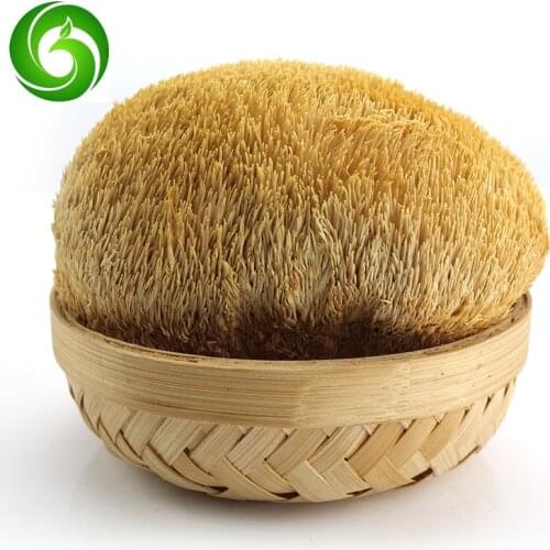 Hericium Dry Goods, Hand-selected Large Hericium Mushrooms, Gutian