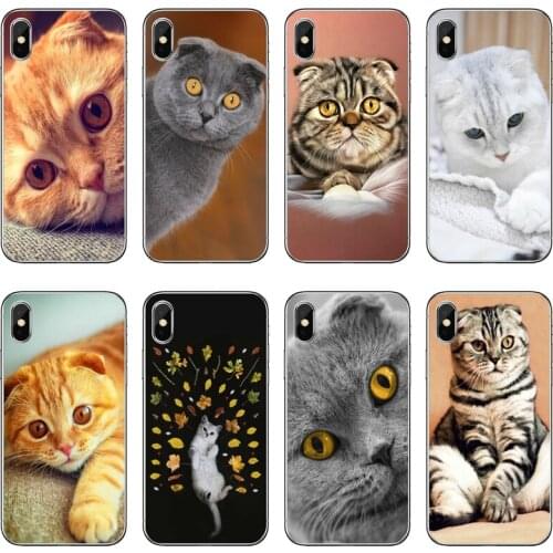 Scottish fold cat For Xiaomi Mi 9 8 SE Pro A1 A2 Lite 6 6X 5 5s 5x note mix 2s max 2 3 Transparent cover case