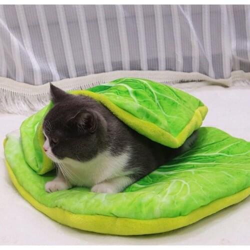 Creative Pet Cat Food Shaped Cushion Optional Rest Cushion for Puppy/Kitten Gift Sofa Cushion Home Bedroom Decoration