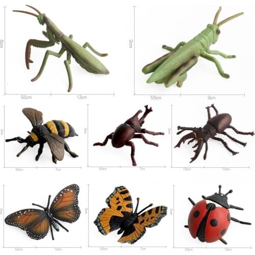 Plastic Insect Animal Model Figures Bug Toy for Kids, Joke Toy, Halloween Decorations Party Supplies Pack of 8