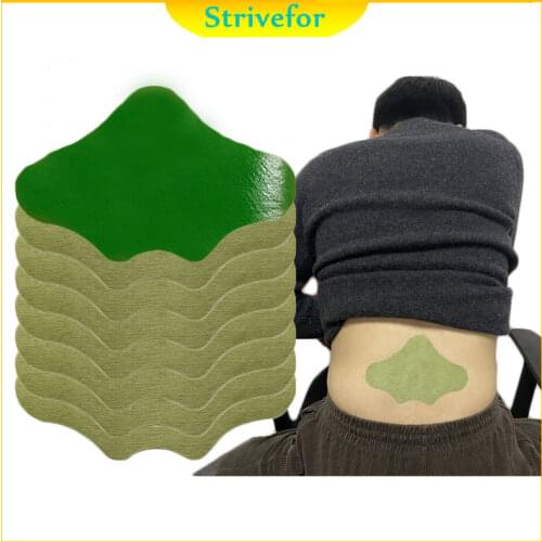 Strivefor Chinese Spine Patches