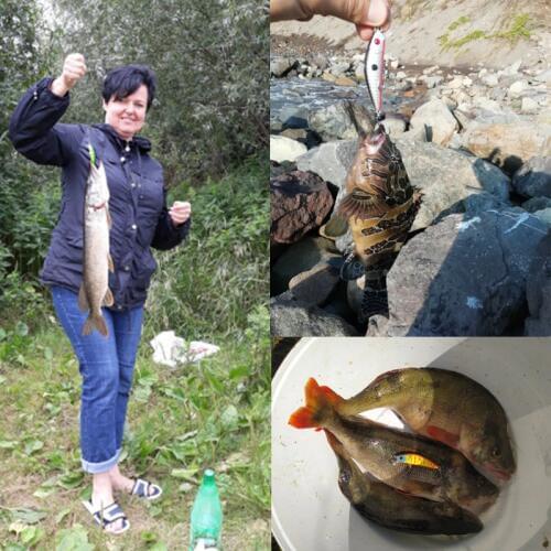 5PCS Fishing Lure 7cm 8.5g Hard Plastic Minnow Plastic Artificial bait 3D Eyes Crankbait Lifelike Bait With two 6# Hooks Fish