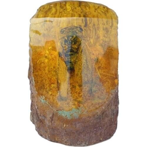 Amber wax insect pendular pendants crafts large specimens office living room decoration