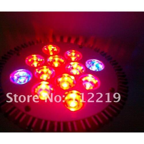 Hydroponic LED Grow Lights, 12W E27 PAR38 Plant Lights, Red + Blue for Plants, Flowers, Vegetables
