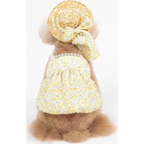 Cute Cat Dog Dress and Hat XXS XS Small Dog Costumes Summer Pet Dog Clothes Skirt Yorkshire Pomeranian Poodle Bichon Clothing XS