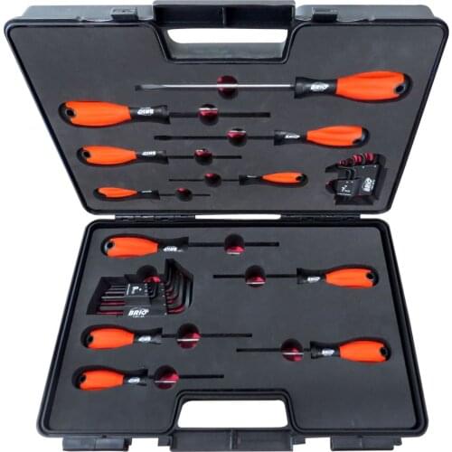 Brio Hand Tool Set for Repair Torx Allen Keys Short Hexagon Keys Phillips Screwdrivers Flat Head Screwdrivers Torx Screwdrivers