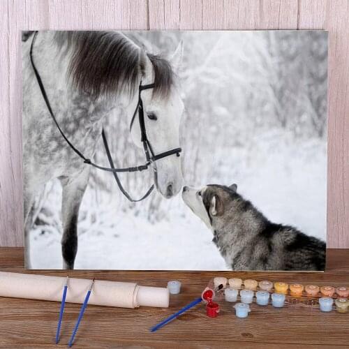 Animal Dog Husky Paint By Numbers Set Oil Paints 40*50 Canvas Painting New Design Crafts For Adults Wholesale For Handiwork