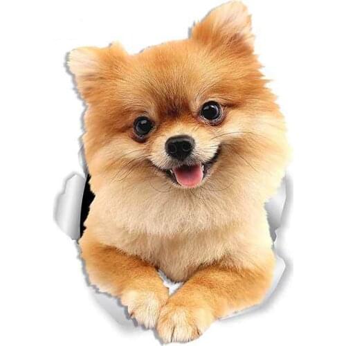 Cute Pomeranian Dog Repair Car Stickers Personality Creative Decal Campervan Decals Decoration Good Quality Waterproof Anti-UV