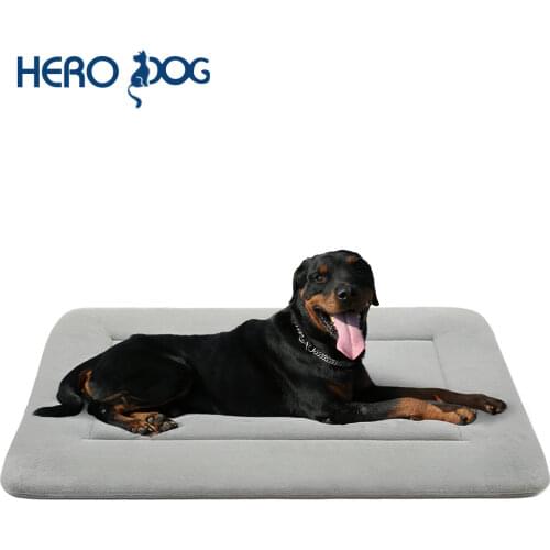 Hero Dog Pet Supplies