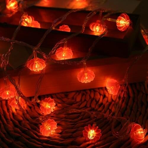 LAMPJOY LED String Lights