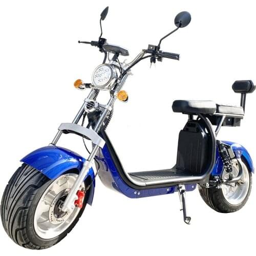 Electric Bike 1500W/2000 W 60 V 10 or 12 Inch Alloy Wheel Fat Tire Removable Battery Front and Rear Shock Double Seat with Back