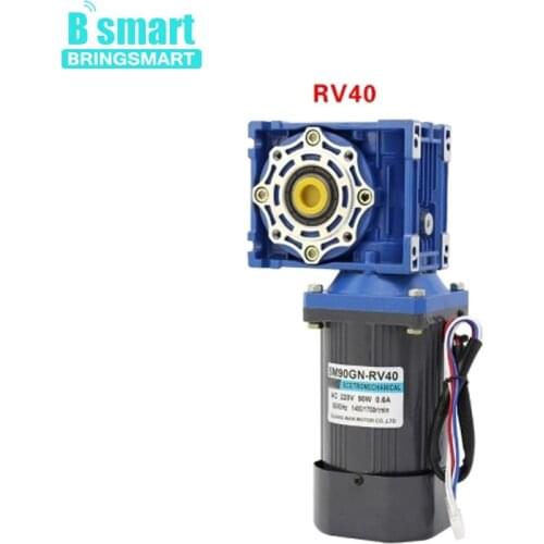 Bringsmart AC motor RV40 double output shaft turbine gear motor 90W 220V gear motor