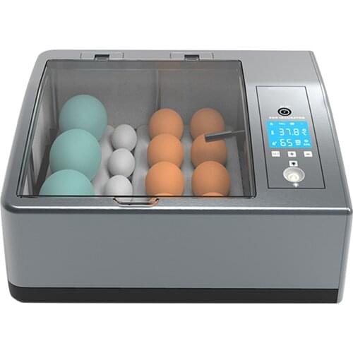 Newest Eggs Incubator Bird Quail Chick Poultry Hatching Brooder 16 Egg Automatic Hatcher Machine Farm Incubation Tools 110V 220V