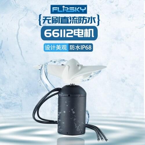 IP68 waterproof within 66112 brushless dc motor rotor power 3000 w propeller surfboard motor