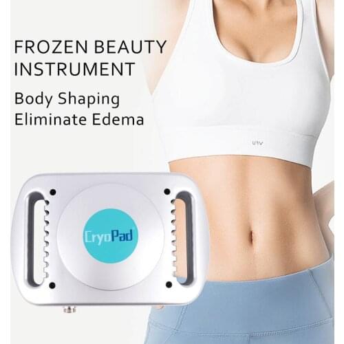 Body Slimming Weight Loss Liipo Anti Free Cellulite Dissolve Fat Cold Therapy DropShipping face massager Fat Freezing Machine