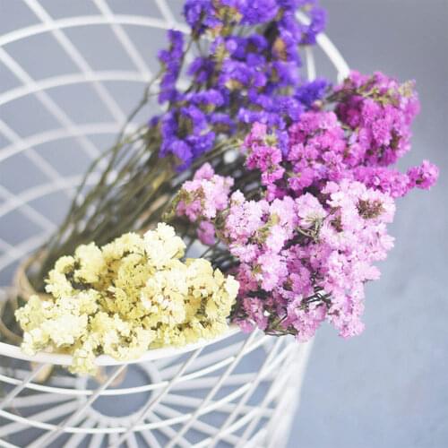 80G"Forget-me-not" Bouquet Natural Dried Flower Wedding Decorative Flowers Home Decor Valentines Day gift NO VASE