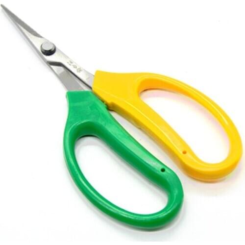 DWZ Secateurs