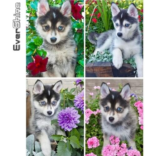 Evershine 5D DIY Diamond Painting Dog Diamond Embroidery Husky Mosaic Animal Full Square Round Rhinestone Sale Wall Decoration