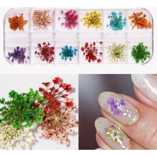 3D Mix Dried Flowers Nail Art Decoration Real Natural Floral Sticker Designs Dry Flower Decals DIY Manicure Nails Accessories