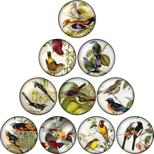 Beauty AnimalsBirds FlamingoMagpie 10pcs 12mm/16mm/18mm/25mm Round photo glass cabochon demo flat back Making findings ZB0510