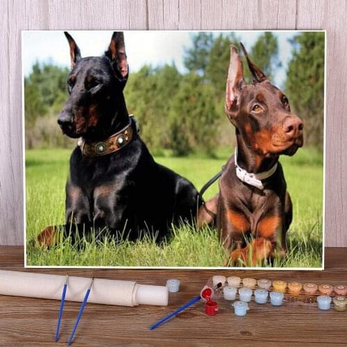 Animal Dog Doberman Painting By Numbers Kit Acrylic Paints 50*70 Picture By Numbers Photo Paintings For Children Handiwork
