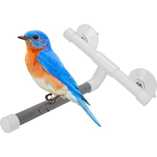 Pet Parrots Bath Tube Stand Bird Shower Perch Plastic Pipe Stand With Suction Cup