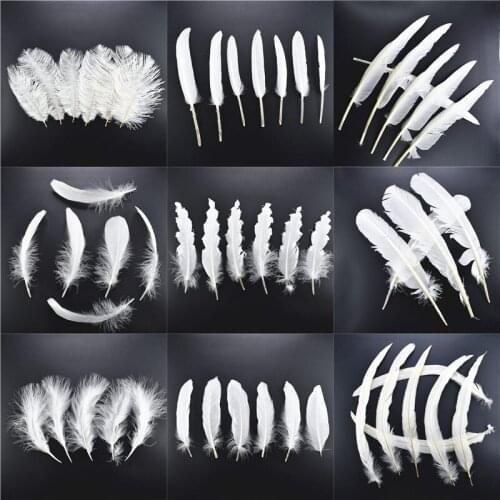 Hot sale20pcs 13kinds white Rooster pheasant feather 8-30cm chicken/ Ostrich/Turkey Pluma DIY feathers wedding decoration plumes