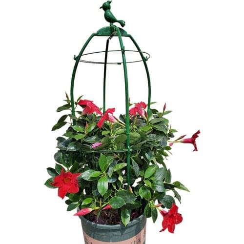 Plant Climbing Frame Plant Flower Support Flower Pot Plant Cages For Garden Vegetables Decorative Gardening Protection Stands