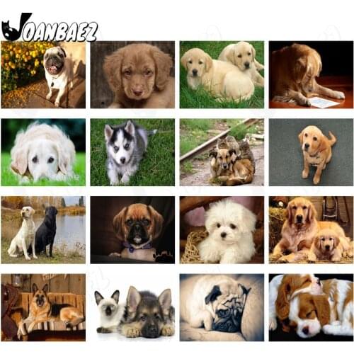 Pet Dog Diamond Painting 5D Diy Wall Art Animal Embroidery Inlaid Home Room Decoration Gift Accessories