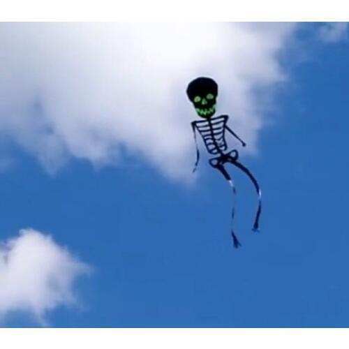 Flying kite ripstop wind sock stunt cerf volant vlieger cometas para adultos kites for adults weifang windsock Single line kite