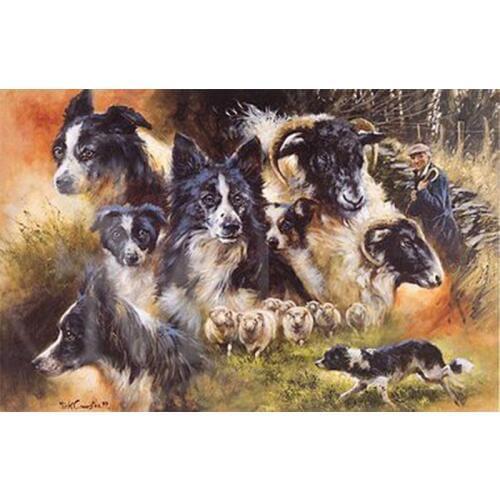 Border collie diamond painting Diamond Embroidery,dog,Full,picture of Rhinestone,Mosaic diamond,Cross Stitch,home decor GH571