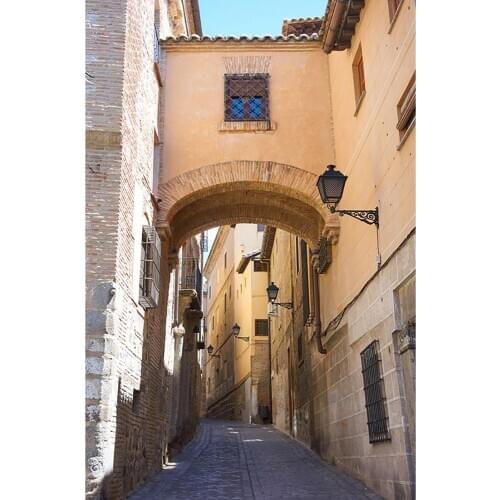 Retro Brick Building Street Photographic Background Customized Backdrop for Children Baby Portrait Pets Photophone Photo Studio