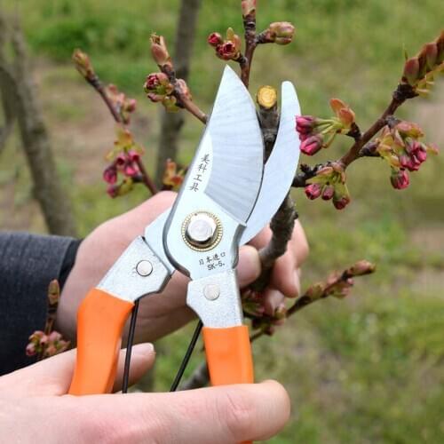 Gardening Pruning Shears Hand Gardening Plant Scissor Branch Pruner Trimmer Tools Gardening Plant Scissor Branch Pruner Tools