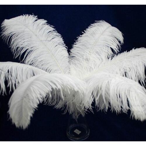 Wholesale 10pcs/lot Elegant White Ostrich Feathers 15-75cm For Craft Wedding Party Supplies Carnival Dancer Decoration Plumages