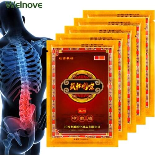 Back Pain Patches Welnove China