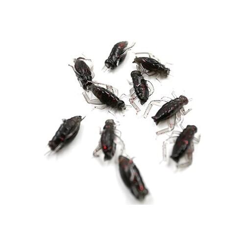 2020 New 10Pcs Black Cricket Soft Bait Artificial Lures For Glass Carp Hooks Insect Bait Soft Real Wobblers Spinner 7.5*5.5*3cm