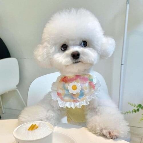 INS Korea Cute Dog Plaid Lace Bib Pet Saliva Towel Bichon Teddy Hiromi Bib Cat