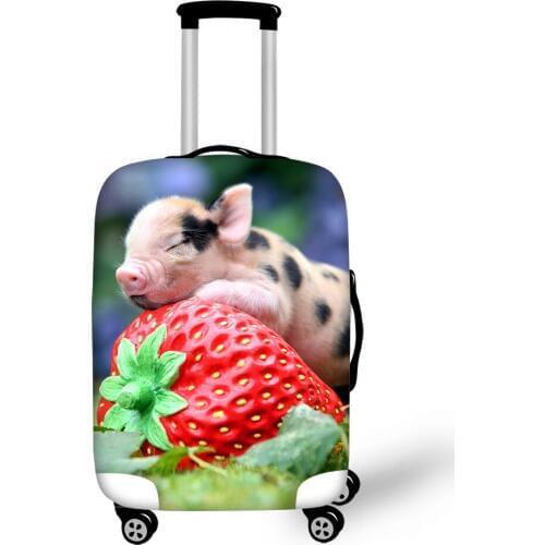 Doginthehole Compact Suitcases