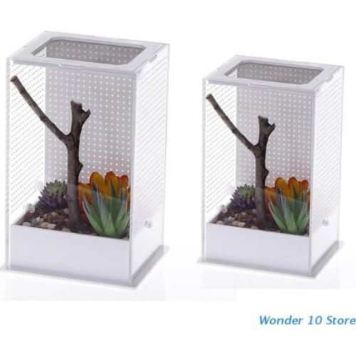 Insect Feeding Box Transparent Container Plastic Terrarium for Spiders Small Snakes Reptile Carrier Box Easy to Detach