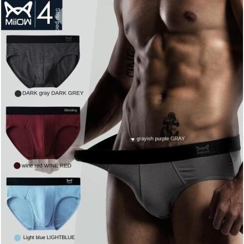 MiiOW Mens Underwear Briefs Boys Modal Soft and Comfortable Sexy Shorts Head Summer Thin and Breathable