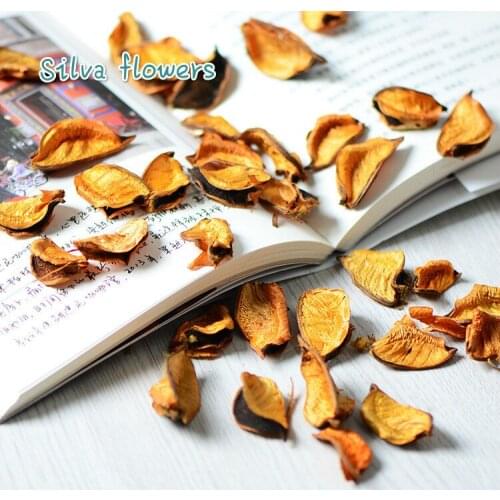 100G Cotton Shell Natural Dyeing High Quality Perfume Sachet Filling Material Plant Dried Flower Home Decoration Accessories