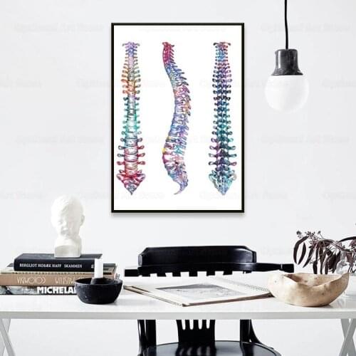 Human Spine Anatomy Wall Art Canvas Print Watercolor Spinal Cord Biology Painting Vertebral Column Poster Medical Art Gift